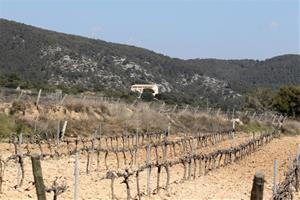 S'activa el el Pla Alfa 3 per alt risc d’incendis forestals sls parcs del Garraf, Olèrdola i Foix. EIX