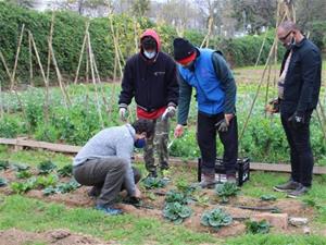 Salut Mental Garraf recupera l'hort socioterapèutic de la Masia Nova. Ajuntament de Vilanova