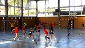 Sènior Femení del Handbol Ribes . Eix