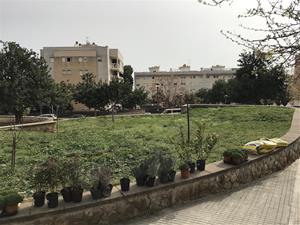 Sitges naturalitza els Jardins de Terramar i el parc dels Garrofers amb la plantació de 350 espècies
