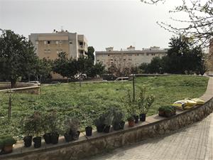 Sitges naturalitza els Jardins de Terramar i el parc dels Garrofers amb la plantació de 350 espècies