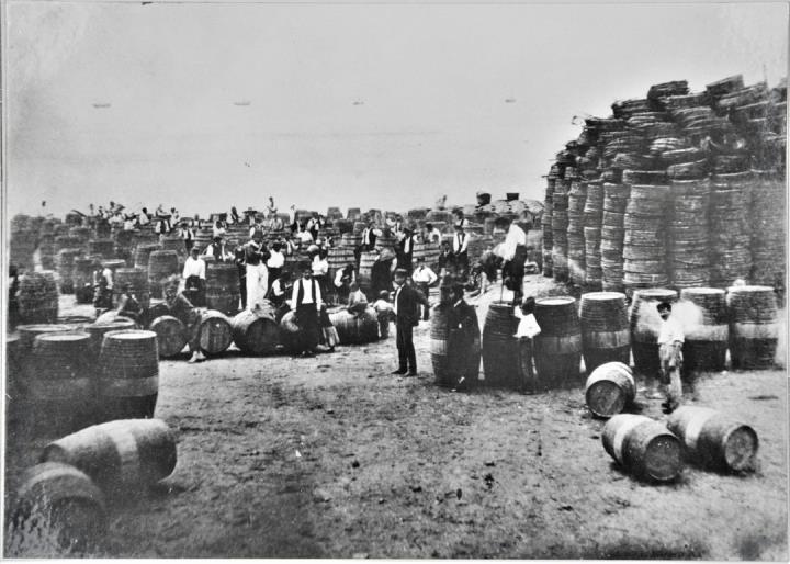 Treball dels obradors de boteria de Baix-a-Mar de Vilanova i la Geltrú. Arxiu Comarcal del Garraf