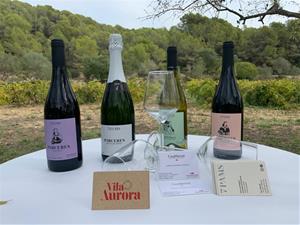 Tres emprenedors de Vilanova i la Geltrú s'uneixen per posar en marxa tastos de vins i àpats entre vinyes 