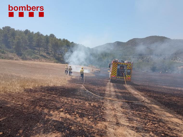 Un incendi crema 2,5 hectàrees agrícoles a Sant Jaume dels Domenys. Bombers