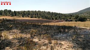 Un incendi crema 2,5 hectàrees agrícoles a Sant Jaume dels Domenys