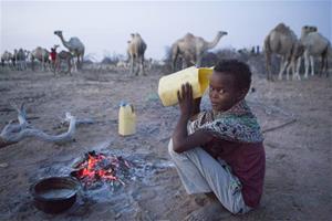 Un nen pastor de camells beu llet d'un dels animals que cuida al desert del nord de Kènia. 8 de febrer del 2019. Thomson Reuters Foundatio