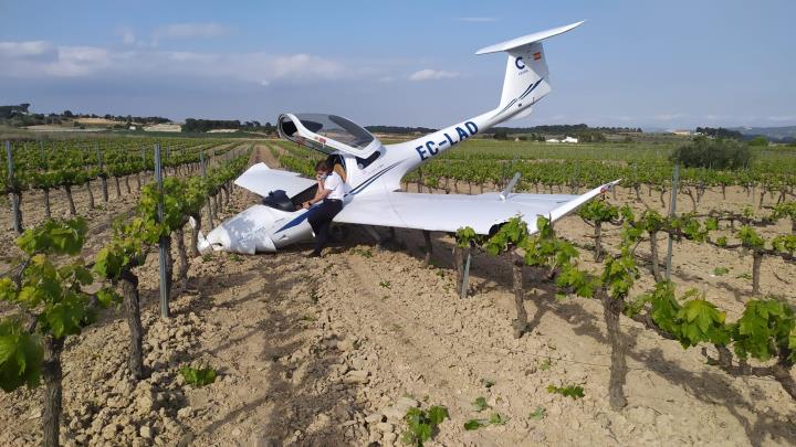 Una avioneta fa un aterratge d'emergència enmig d'unes vinyes del Baix Penedès. ACN
