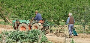 Unió de Pagesos reivindica pensions dignes per a la pagesia. Unió de Pagesos