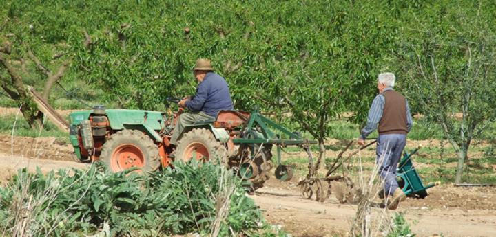Unió de Pagesos reivindica pensions dignes per a la pagesia. Unió de Pagesos