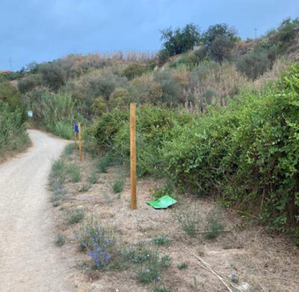 Uns vàndals tornen a destrossar el projecte escolar L'Hort i el Bosc de les escoles de Sant Sadurní. Ajt Sant Sadurní d'Anoia