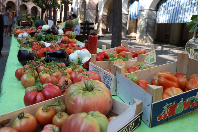 Varietats de tomàquets i altres hortalisses exposades a la I Fira de la Tomaca del Priorat a Falset. ACN / Mar Rovira