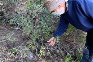 Veïns del Penedès denuncien 