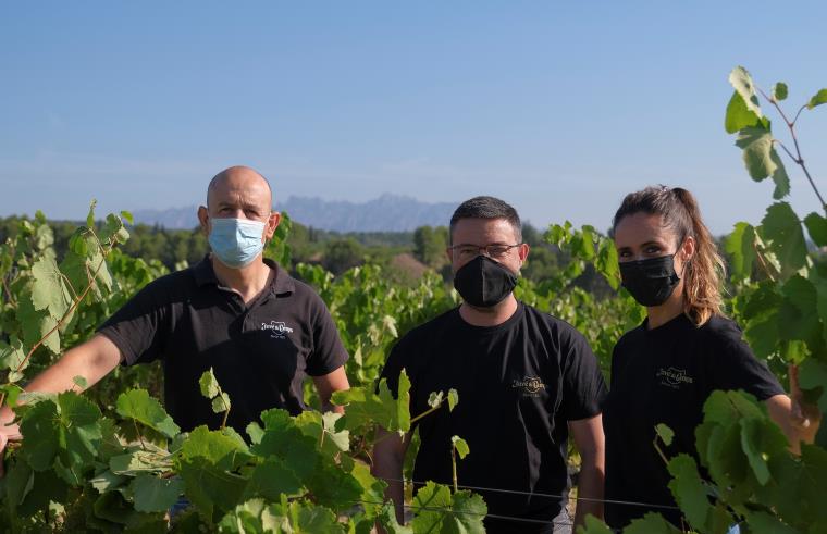 Verema centenària i emblemàtica a Juvé & Camps. Juvé & Camps