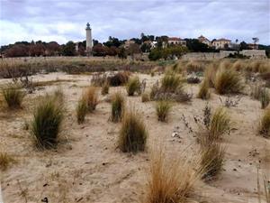 Vilanova i la Geltrú, laboratori del projecte europeu de millora de la resiliència davant el canvi climàtic. Ajuntament de Vilanova