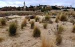 Vilanova i la Geltrú, laboratori del projecte europeu de millora de la resiliència davant el canvi climàtic. Ajuntament de Vilanova