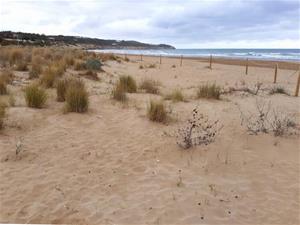 Vilanova i la Geltrú, laboratori del projecte europeu de millora de la resiliència davant el canvi climàtic