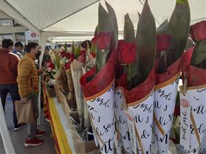 Vilanova i la Geltrú s'omple de llibres i roses per la diada més esperada de Sant Jordi