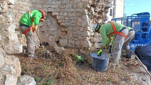 Actuació de neteja i de conservació a la torre del Cintoi del Vendrell