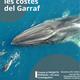Balenes+a+les+costes+del+Garraf
