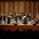 Camerata+Eduard+Toldr%c3%a0.+Direcci%c3%b3%3a+Ariadna+Padr%c3%b3%2c+concertino+directora
