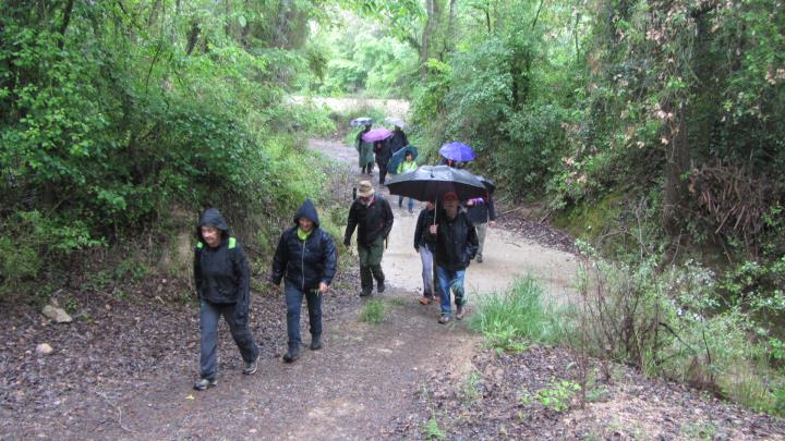 Caminada d'El Martinet per les vinyes de la Rovira Roja