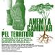 Caminem+i+plantem+una+alzina+per+la+Monica+Hill