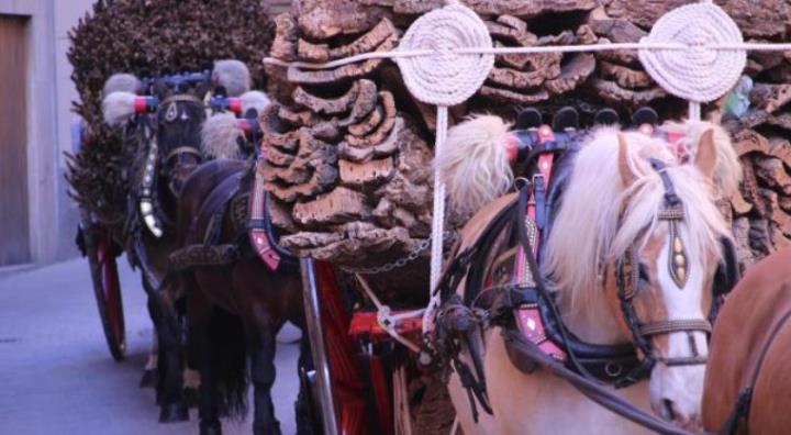 Celebració de la Festa del Cavall                               