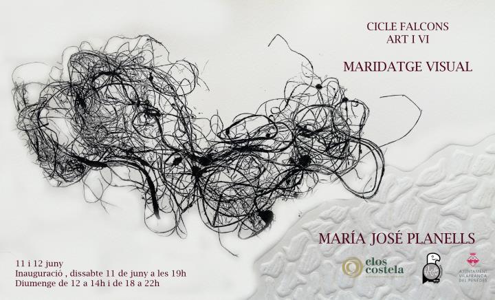 Cicle Falcons, art i vi. Maridatge visual