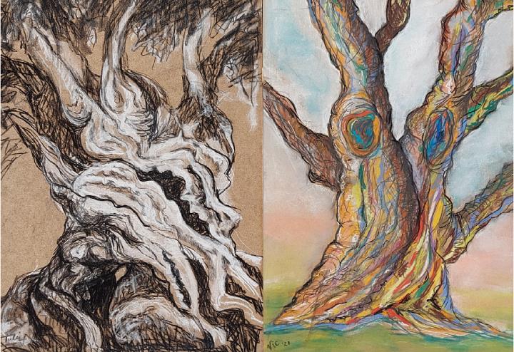 “De la nostra terra”