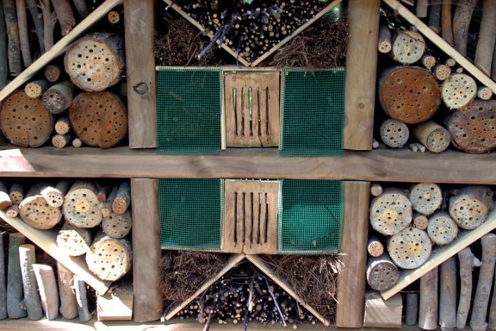 Fem un hotel d’insectes