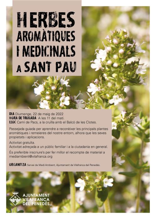 Herbes aromàtiques i medicinals a Sant Pau