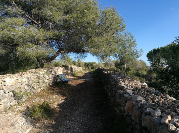 Inauguració d'una via verda entre Vilanova i el camí Vell de Cubelles