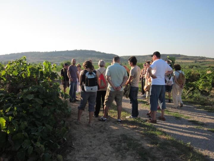 Itinerari guiat entre vinyes a Sant Pau