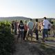 Itinerari+guiat+entre+vinyes+a+Sant+Pau