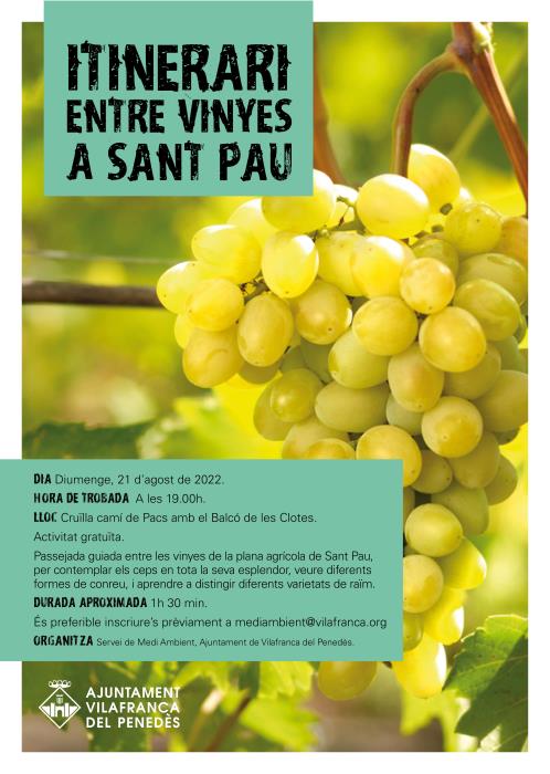 Itinerari guiat entre vinyes a Sant Pau