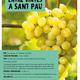 Itinerari+guiat+entre+vinyes+a+Sant+Pau