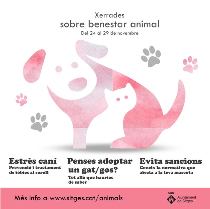 La regidoria de Salut Pública promou un cicle de xerrades sobre benestar animal i civisme