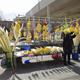 Mercats+de+palmes+i+palmons+a+Vilafranca