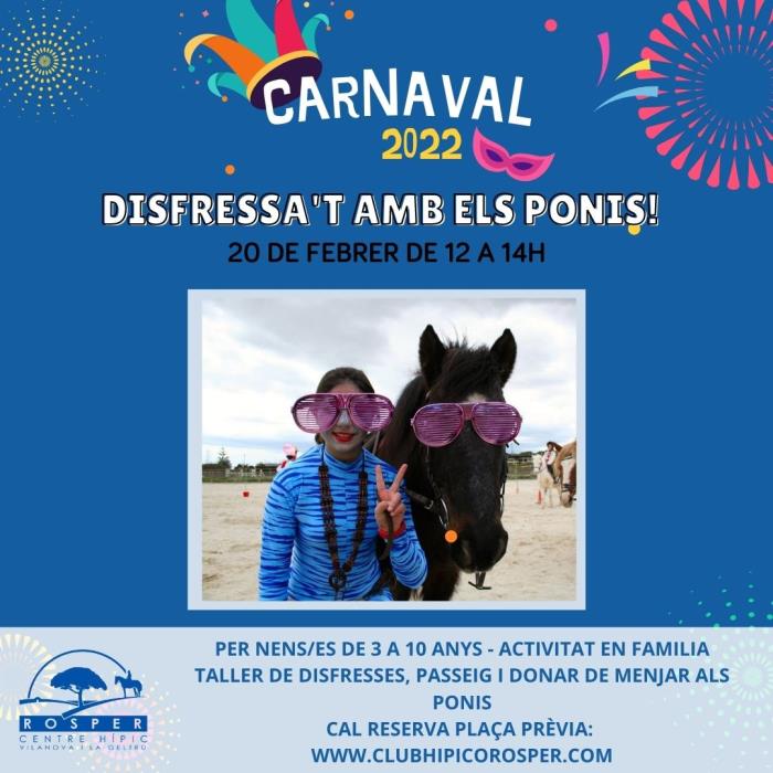 Pel carnaval vine a conèixer els nostres ponis... i disfressa't