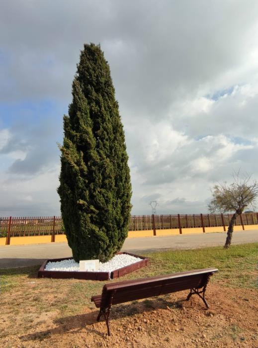 Santa Oliva commemora el dia mundial del Dol Perinatal