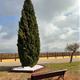 Santa+Oliva+commemora+el+dia+mundial+del+Dol+Perinatal