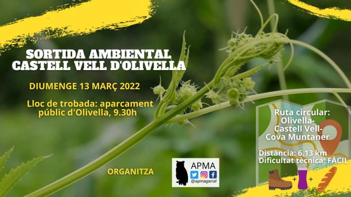 Sortida ambiental a Olivella