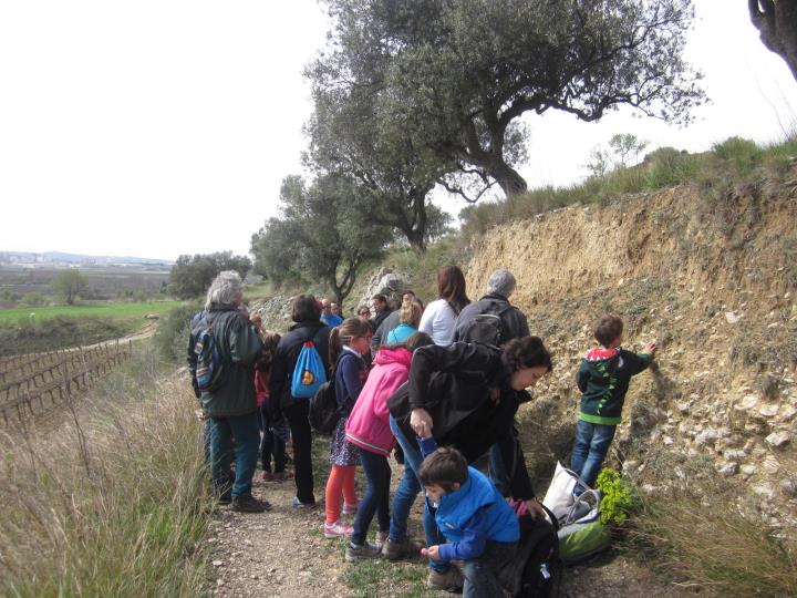 Una muntanya de fòssils
