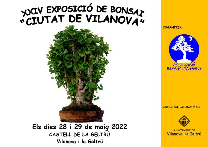 XXIV Exposició de Bonsai 