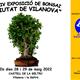 XXIV+Exposici%c3%b3+de+Bonsai+%22Ciutat+de+Vilanova%22