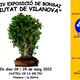 XXIV+Exposici%c3%b3+de+Bonsais+%22Ciutat+de+Vilanova%22