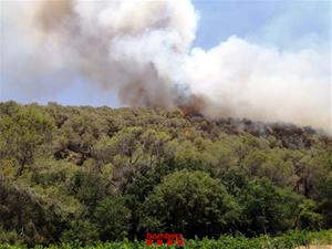 Alerta màxima al massís del Garraf per un incendi forestal a Olivella. Bombers