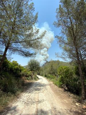Alerta màxima al massís del Garraf per un incendi forestal a Olivella