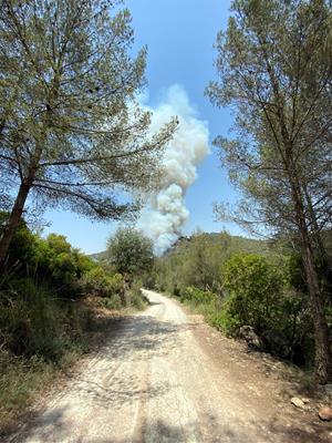 Alerta màxima al massís del Garraf per un incendi forestal a Olivella