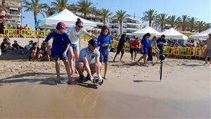 Alliberen 14 exemplars de tortuga careta a la platja de Calafell. Generalitat de Catalunya